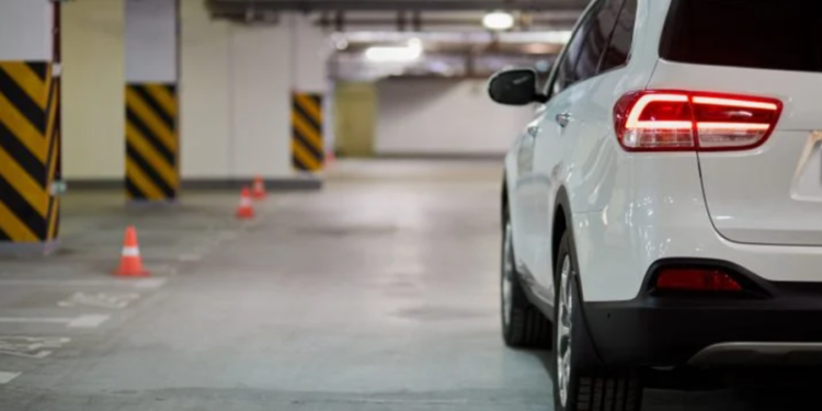 Créditos: Shutterstock