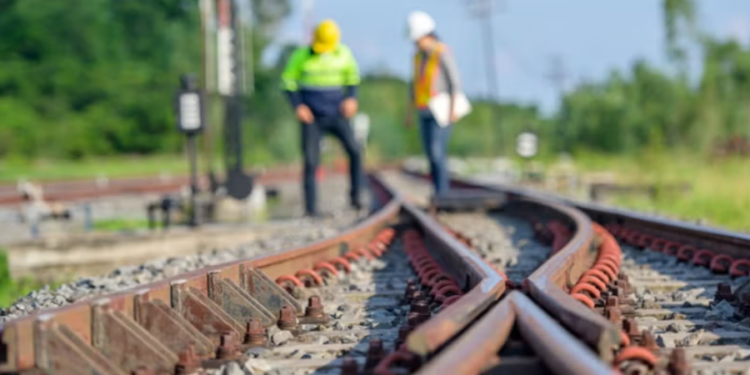 Créditos: Shutterstock