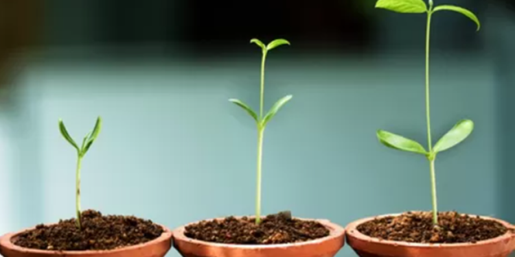 Créditos: Shutterstock