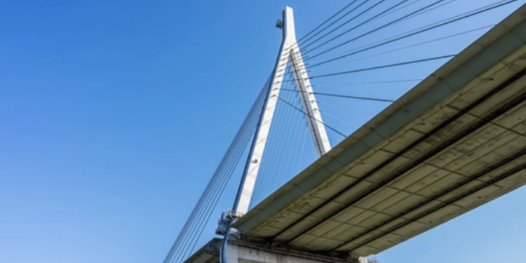 Créditos: Shutterstock