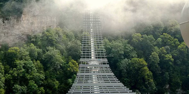 Créditos: Shutterstock