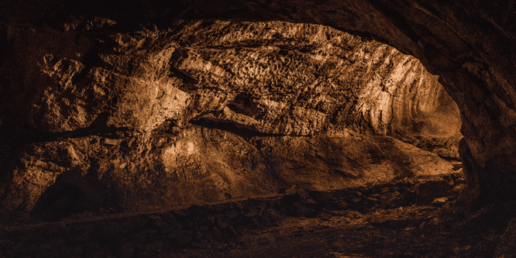 Créditos: Shutterstock