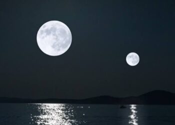 Créditos: Shutterstock