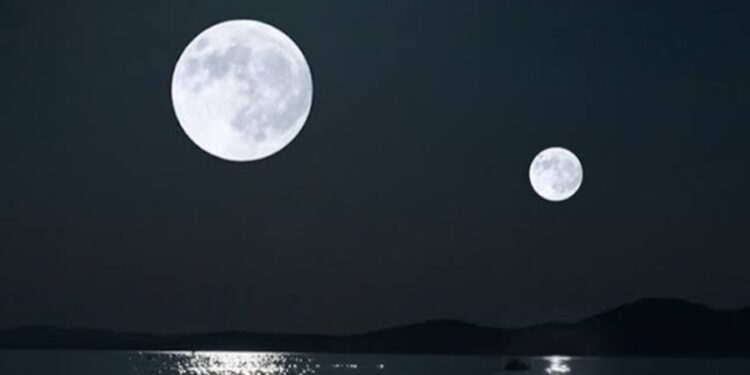 Créditos: Shutterstock