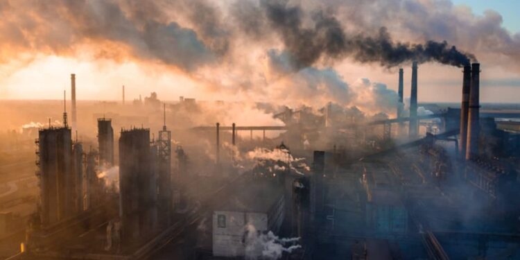 Créditos: Shutterstock