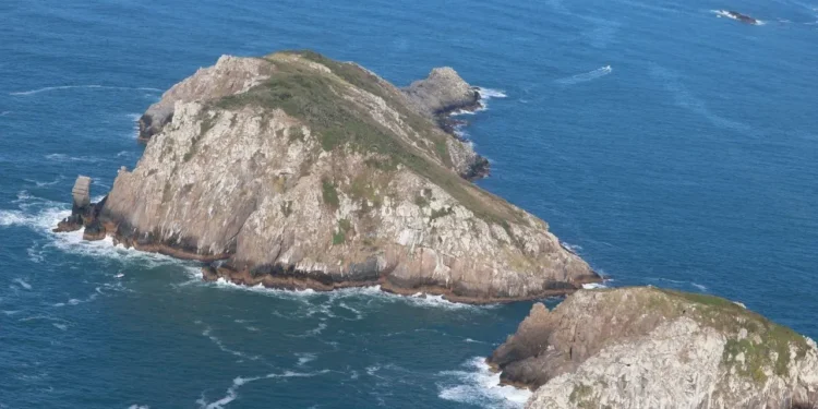 Créditos: Roberto Salles/ Instituto Tabuleiro