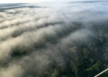 Amazônia