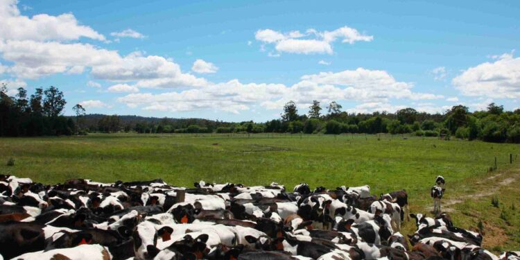 Créditos: Freepik/brgfx