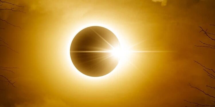 Créditos: Shutterstock