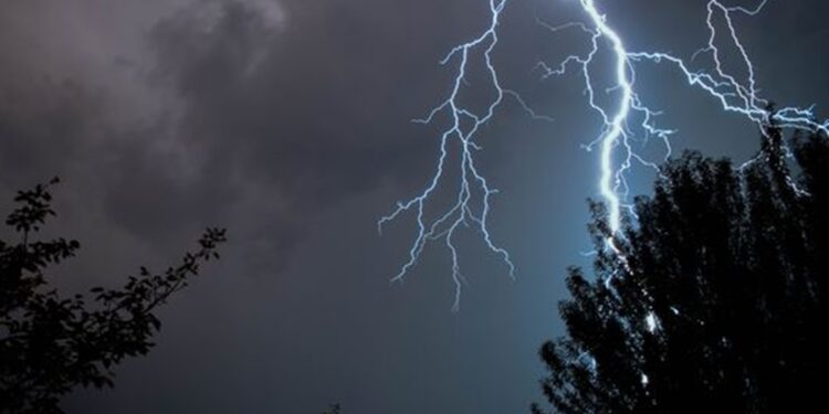 Créditos: Shutterstock