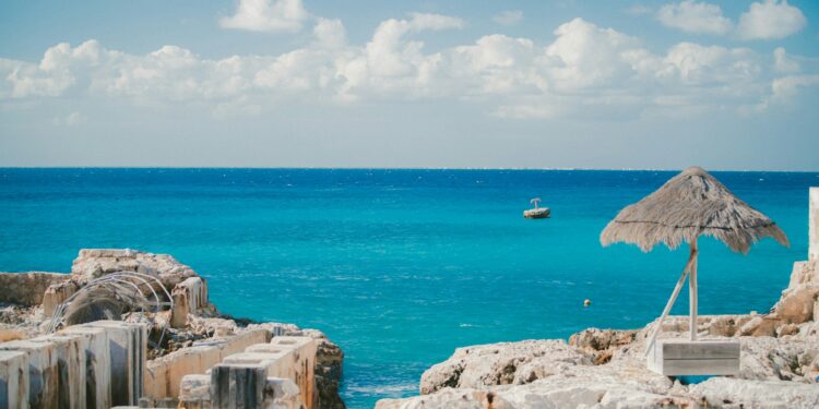 Créditos: Unplash/Jakob Owens