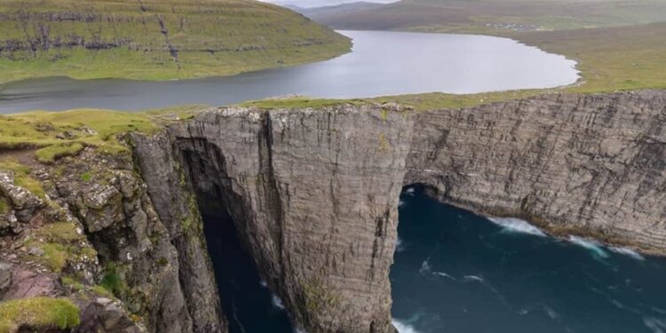 Créditos: Shutterstock