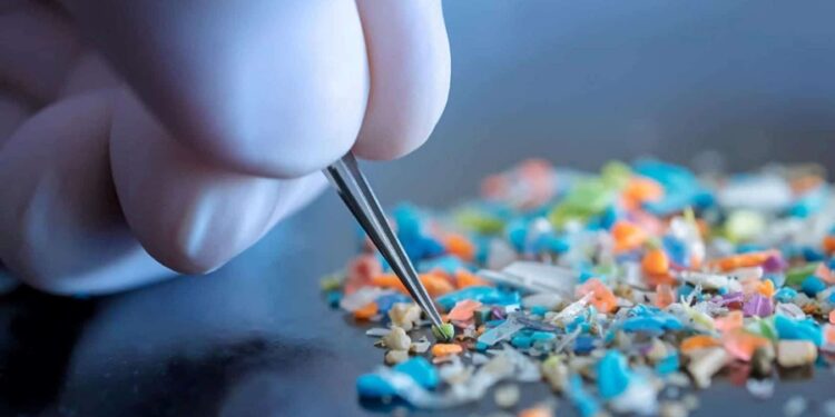 Créditos: Shutterstock