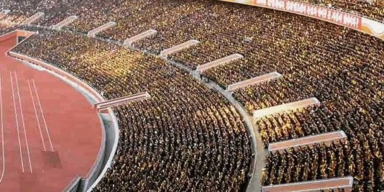 Créditos: Reddit / @Ashorei999