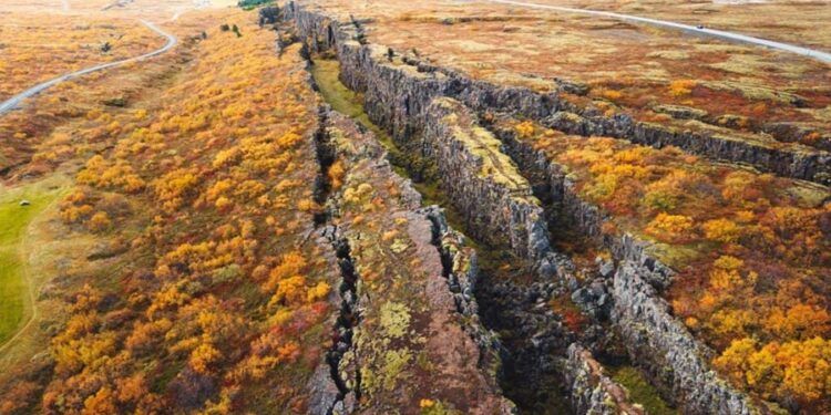 Créditos: Shutterstock