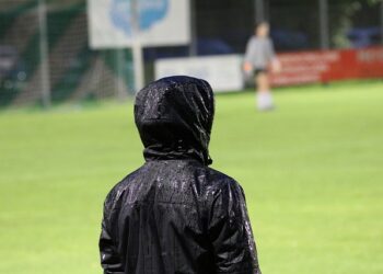 Créditos: Pixabay/Planet_Fox