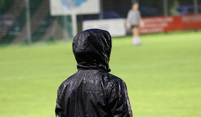 Créditos: Pixabay/Planet_Fox