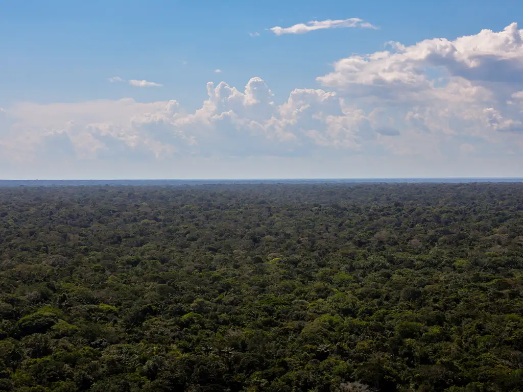 Amazônia