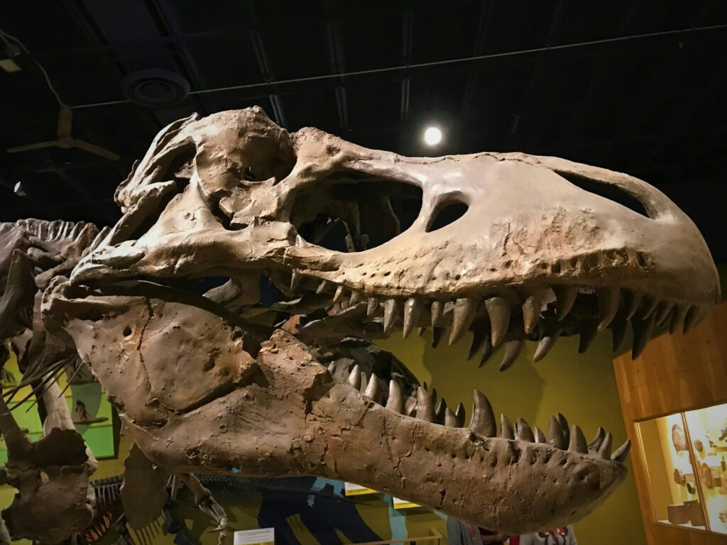dinossauro