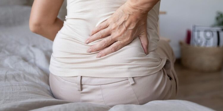 Créditos: Shutterstock