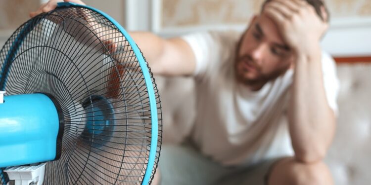 Créditos: Shutterstock