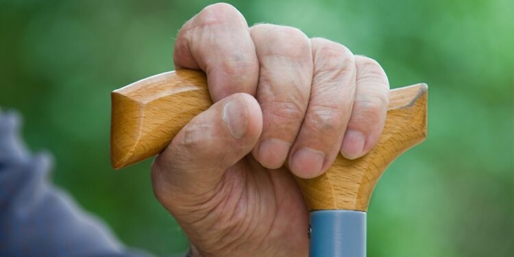 Créditos: Shutterstock