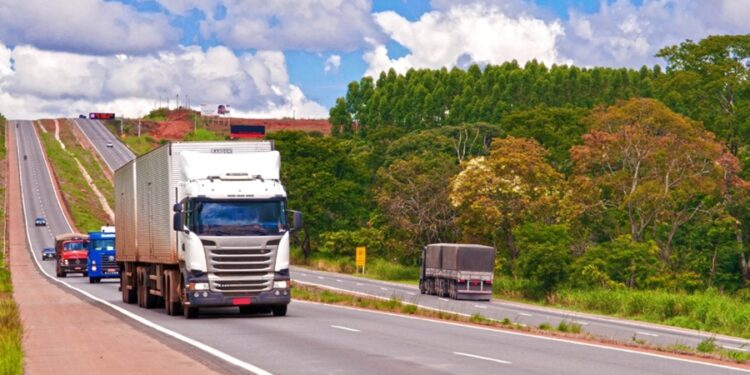 Créditos: Shutterstock