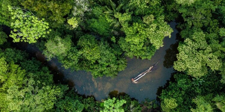 Créditos: Shutterstock