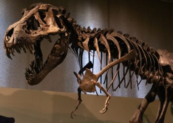 dinossauro