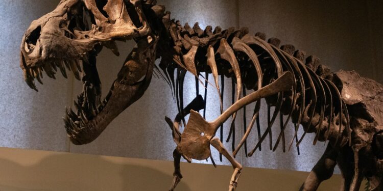 dinossauro