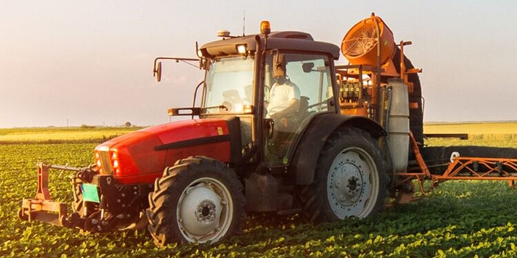 Créditos: Shutterstock