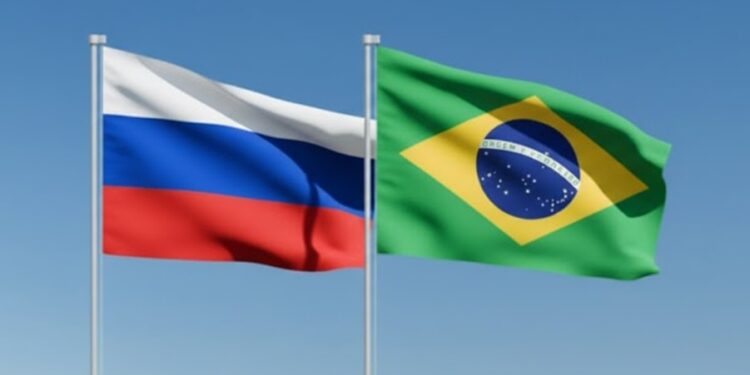 Créditos: Shutterstock