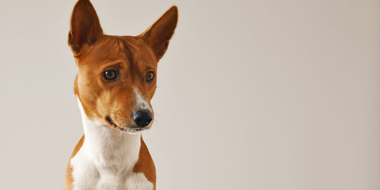 Créditos: Freepik/bublikhaus