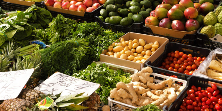 Créditos: Freepik/
kstudio