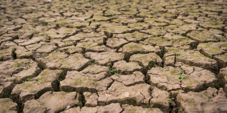 Créditos: Freepik/fanjianhua