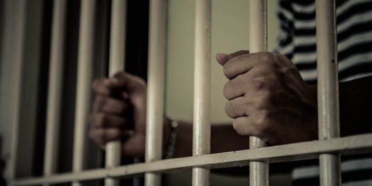 Créditos: Shutterstock