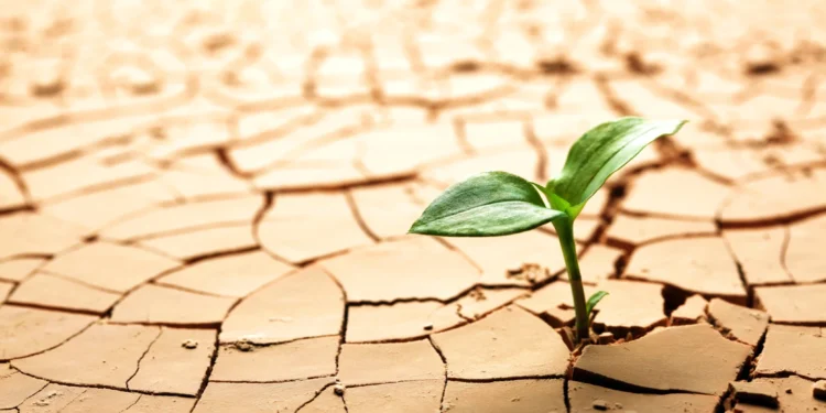 Créditos: Shutterstock