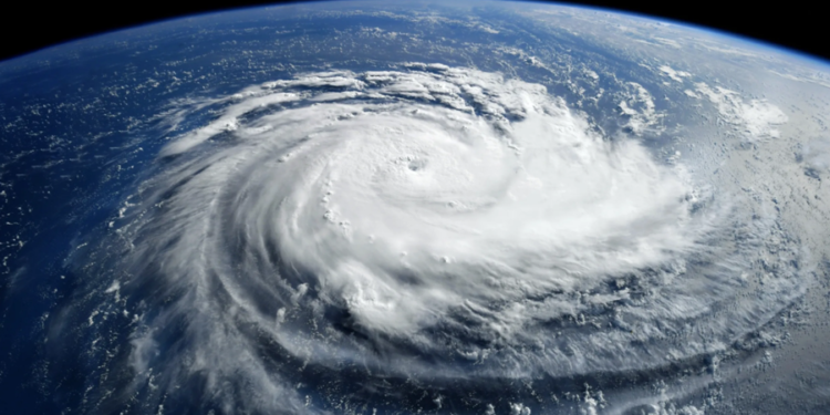 Créditos: Shutterstock