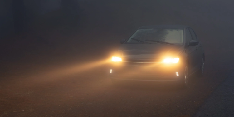 Créditos: Shutterstock