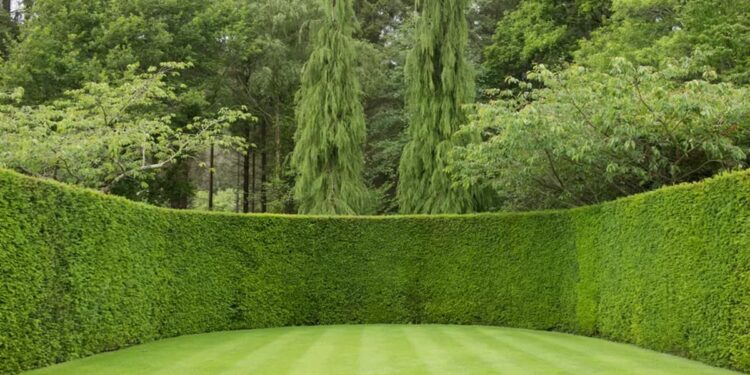 Créditos: Shutterstock