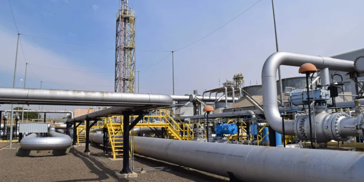 Créditos: Marcelo Horn/Divulgação/TBG