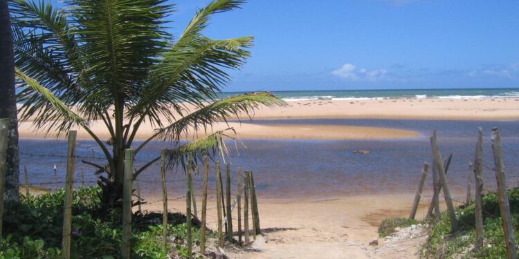 Créditos: Wikimedia Commons