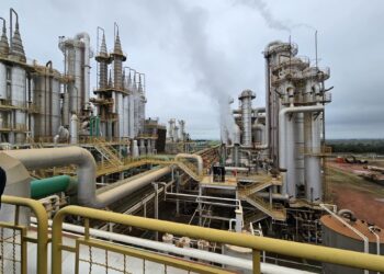 Créditos: Mairinco de Pauda/Semadesc