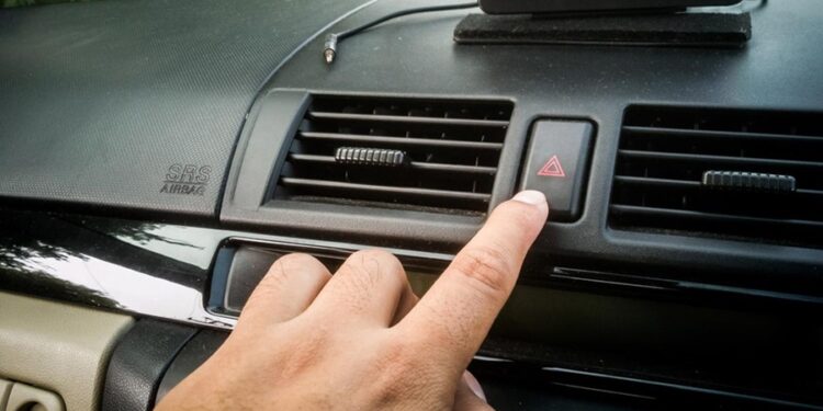 Créditos: Shutterstock