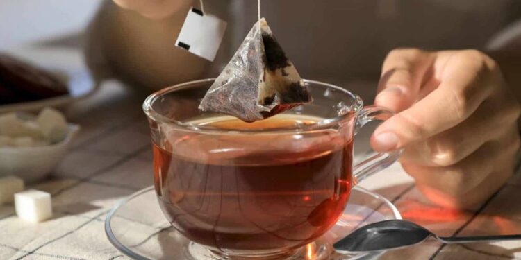 Créditos: Shutterstock