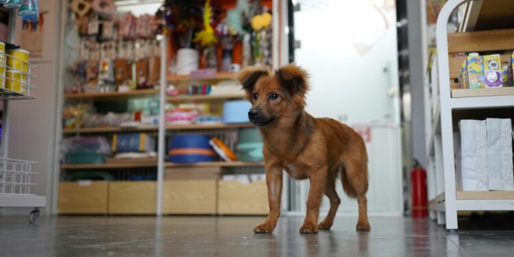 Créditos: Unplash/Daisy D