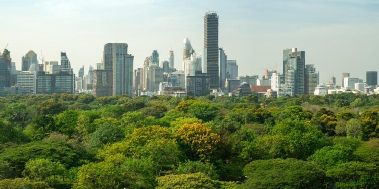 Créditos: Shutterstock