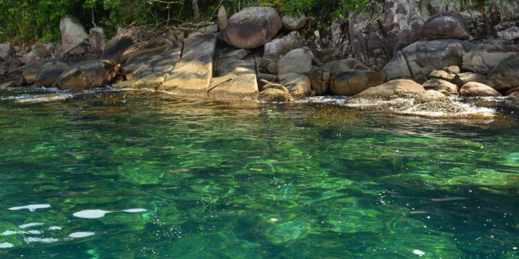 Créditos: Shutterstock