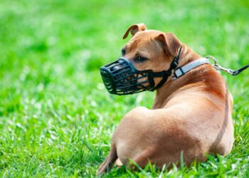 Créditos: iStock