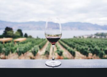 vinho
